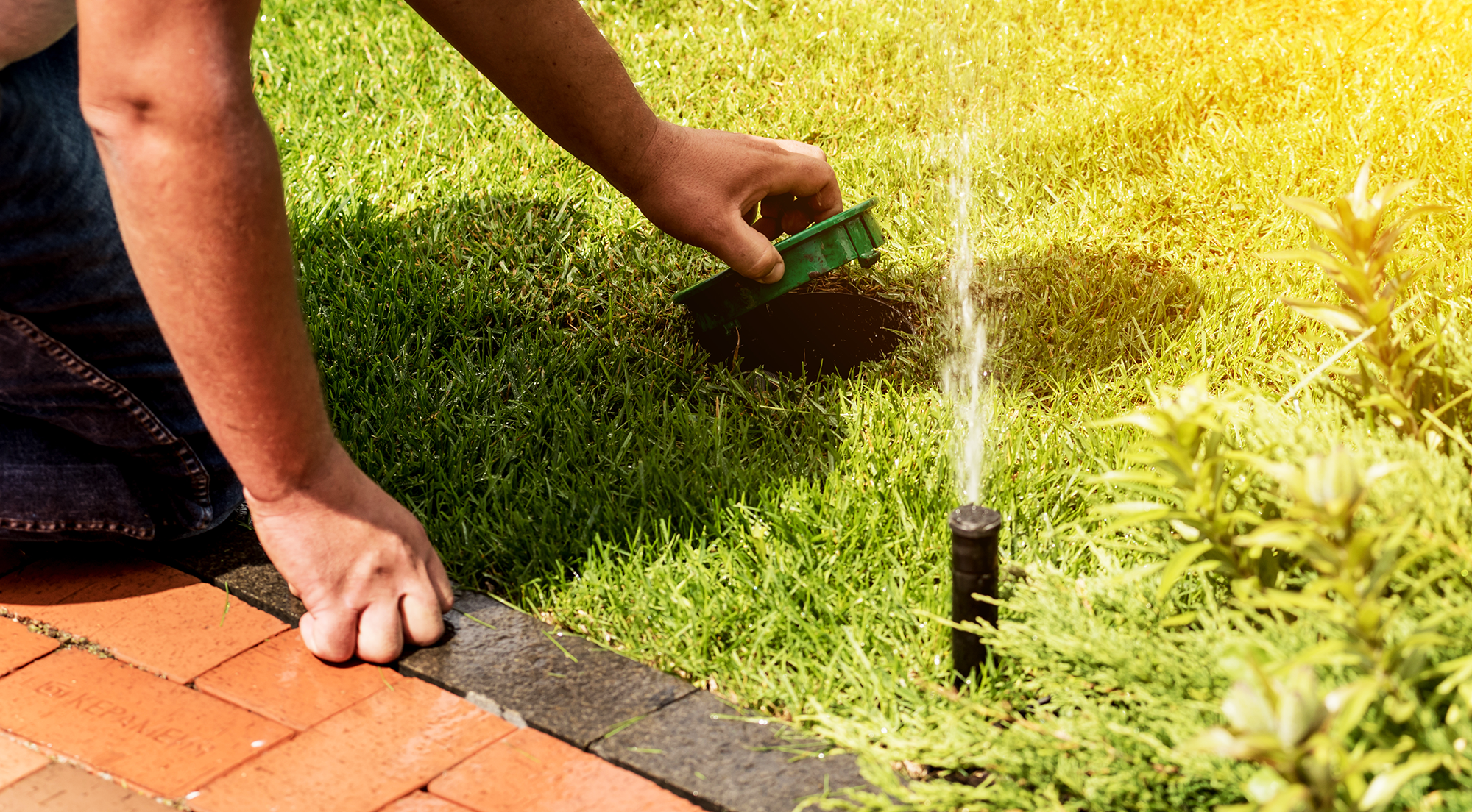 Irrigation System working correctly