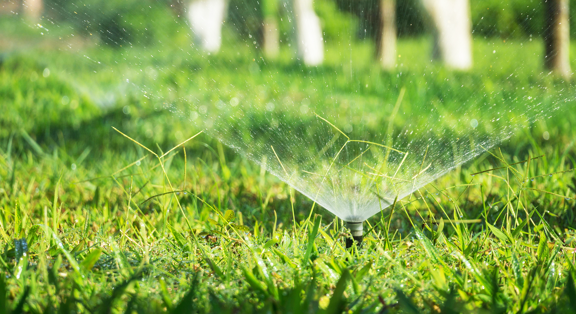 Upgraded Irrigation System